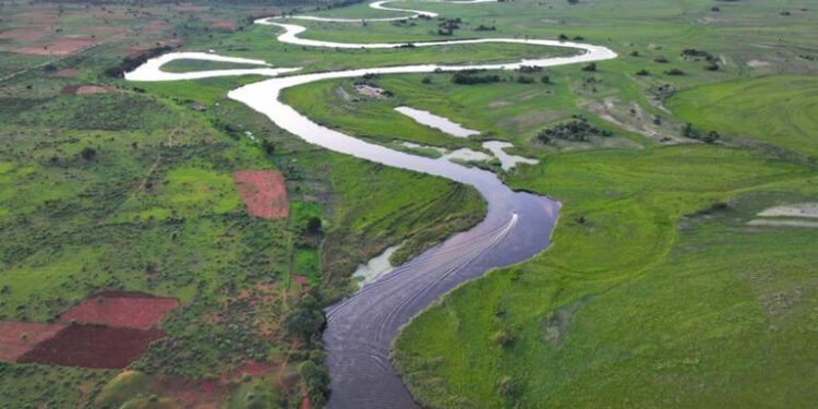 Exploração de petróleo na Bacia do Okavango levanta preocupações 