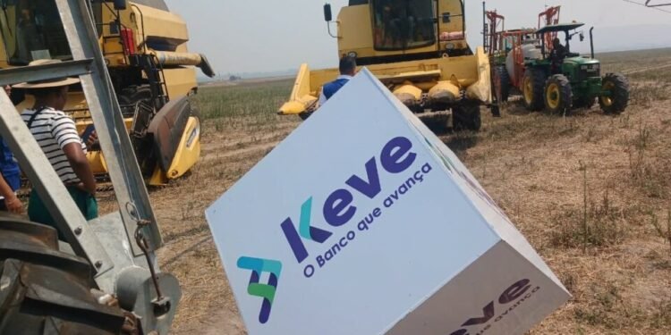 Banco Keve dispõe de Kz 60 mil milhões para financiamento do Agronegócio