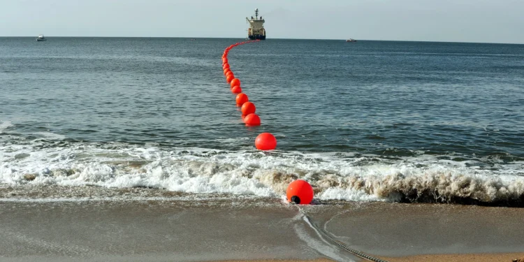 Angola Cables escolhe CEO português para liderar operação internacional