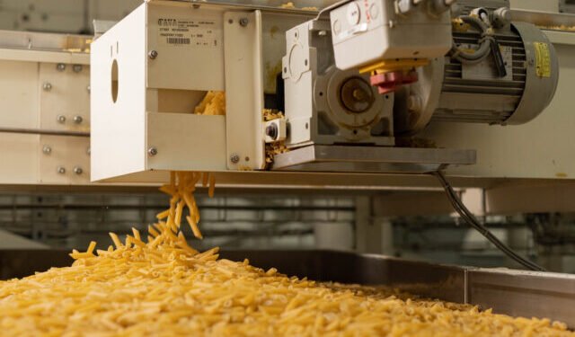 Carrinho suspende importação de milho e aposta na produção local