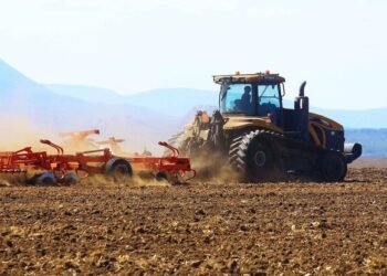 Crédito agrícola em Angola cobre apenas 10% das necessidades