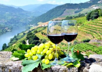 Angola é sexto no ranking dos maiores mercados dos vinhos portugueses