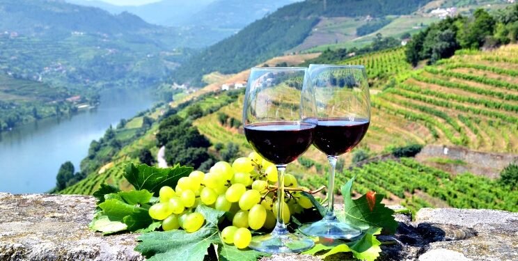 Angola é sexto no ranking dos maiores mercados dos vinhos portugueses