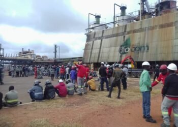 Trabalhadores da Biocom  entram em greve por melhores condições