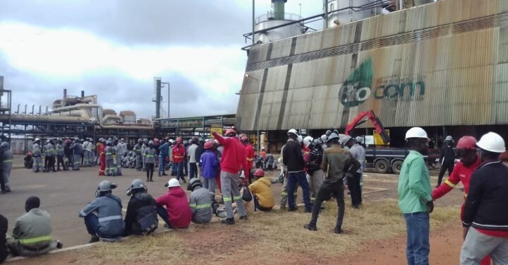 Trabalhadores da Biocom  entram em greve por melhores condições